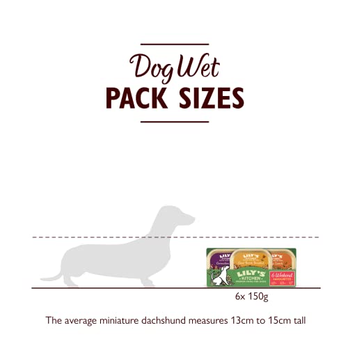 Lily's Kitchen World Dishes Multipack - Complete Adult Wet Dog Food, 150 g (Pack of 24)