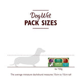 Lily's Kitchen World Dishes Multipack - Complete Adult Wet Dog Food, 150 g (Pack of 24)